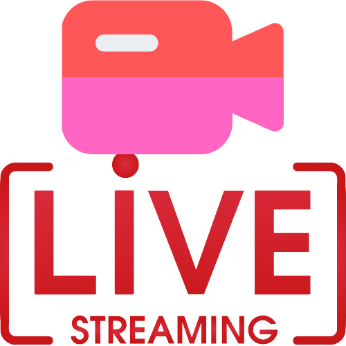 1v1 Adult Cam